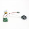 factory largely supply mini recordable sound module voice chip for toys