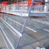 Automatic Chicken Cage Systems Poultry Farm Equipment