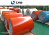 prepainted color-coating steel coil for home appliances (ppgi)