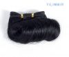 AFRO-B MASTERPIECES Human Hair Extensions