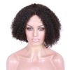Premier Best Selling Indian Remy Short Afro Kinky Human Hair Wig For Black Women