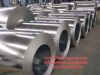 High quality PPGI/PPGL steel coil