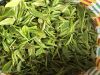 Xinyang Maojian Green Tea