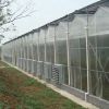 Customized Service Prefabricated PC Sheet Greenhouse for Vegetables