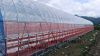 The Cheapest Hot Sale Sainpoly Agricultural/Commercial Plastic Greenhouse