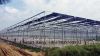 The Cheapest Hot Sale Sainpoly Agricultural/Commercial Plastic Greenhouse