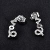 925 Sterling Silver New Design Ear Rings For Women Birthday Gift