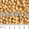 Soybeans