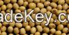 Soybeans