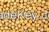 Soybeans
