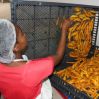 Dried Sweet Mango
