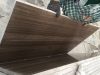 New Eramosa Brown Coffee Wood Grain Marble, Brown Serpeggiante Eramosa Marble slabs Tiles