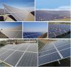 300W High Quality Poly PV Solar Module for Solar Power System