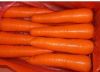 fresh carrot, red fres...