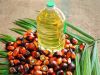 Malaysia cheap price refined RBD palm oil