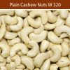 Vietnam Dried Cashew Nuts best price fresh w240 cashew nuts