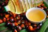 Malaysia cheap price refined RBD palm oil