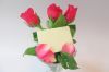 White Rose Soap: Aroma...