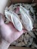 Cuttlefish Bones For Birds With Natural Color or Bleached White Color 0084947900124