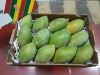 Fresh Mango - Alphonso...