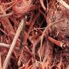 PURE COPPER SCRAP, COPPER WIRE SCRAP 99.99%, COPER WIRE MILBERRY