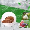 Animal Antibiotic Replacement - Eucommia Leaf extract 5% Chlorogenic Acid natural Animal Antibiotic