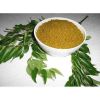 Curry leaves Powder