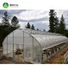 Hot sale tomato vegetable single span invernadero agriculture greenhouse