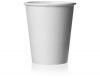 Paper Cup