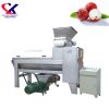 Large Scale Automatic Lychee/Litchi Fruit Pulp Process Machine