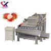 High Quality Automatic Lychee/Longan Peeling/Processing Machine