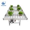 Greenhouse ebb and flow growing rolling metal bench
