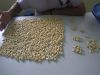 Vietnam Wholesale Cashew Nuts / Cashews Kernel Factory Cheap Price