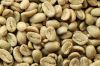 Lowest Price Robusta Coffee Bean Vietnam