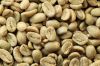 Robusta green coffee beans from Vietnam Factory