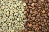 Lowest Price Robusta Coffee Bean Vietnam