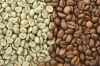 Robusta green coffee beans from Vietnam Factory