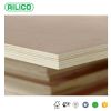 RILICO pine plywood 40...