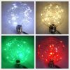 Decorative LED bulb Holiday lighting Plastic/glass