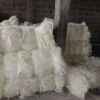 UG Grade White Sisal Fiber for Building High Quality