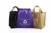 Resuable Non Woven Shopping bag 