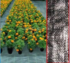 Agricultural Weed Mat/...