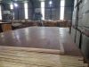 Cheap High quality container flooring plywood