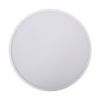 IP60 Colorful Residential Round Lamp Smart LED Ceiling Lights