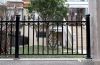 China Hot Sale Ornamental Wrought Iron Fences