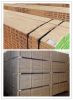 LVL Scaffolding Plank