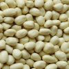 Blanched Peanuts