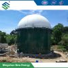Integrated Double Membrane Gas Tank / Holder for Biogas Engineering 