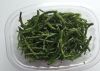 seaweed salicornia apa...