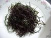 seaweed chondracanthus chamissoi